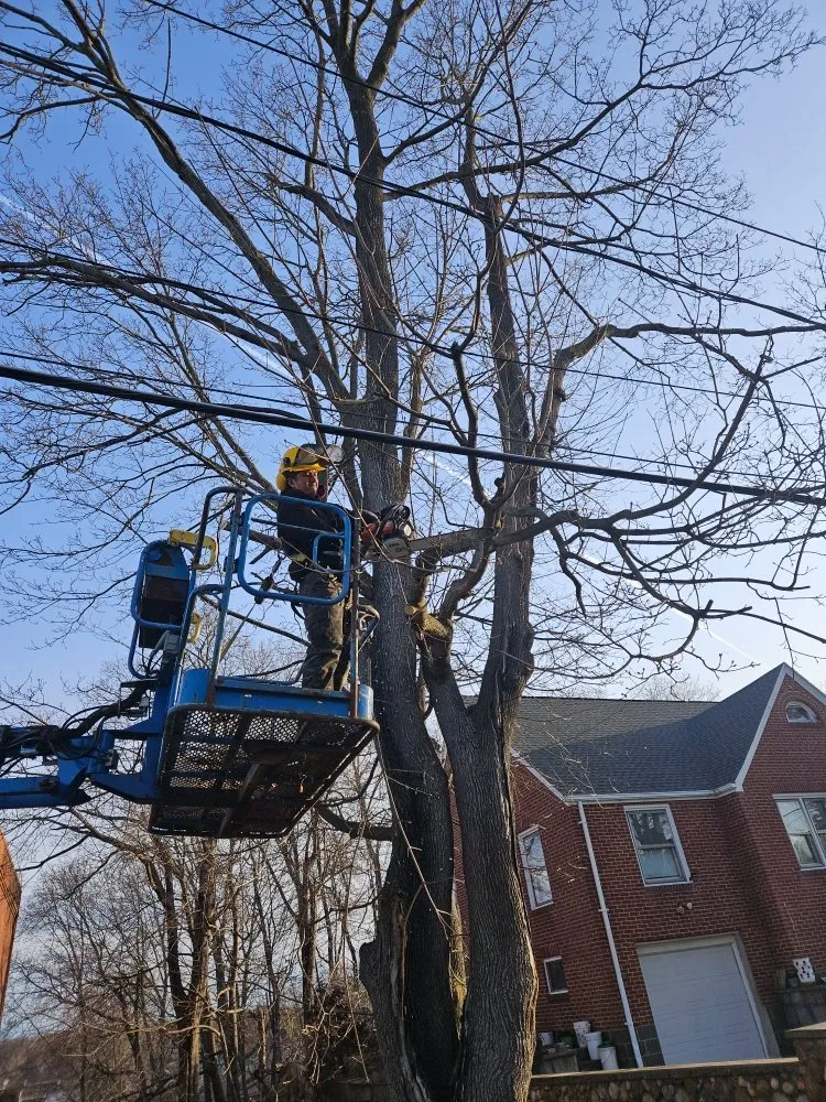 Slide of Green Protection Enviroment