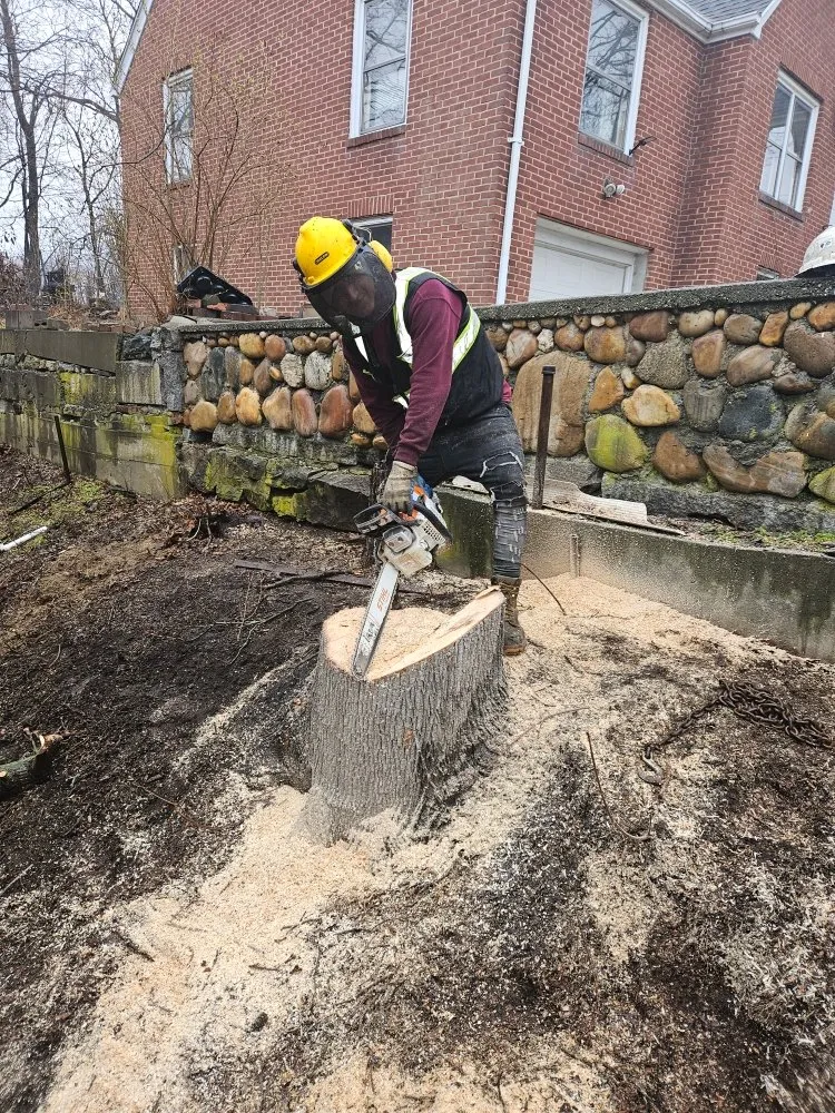 Slide of Green Protection Enviroment