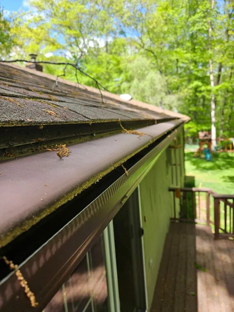 Slide of Green Protection Enviroment