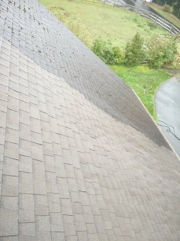 Slide of Green Roof and Gutter Cleaning, Bellingham