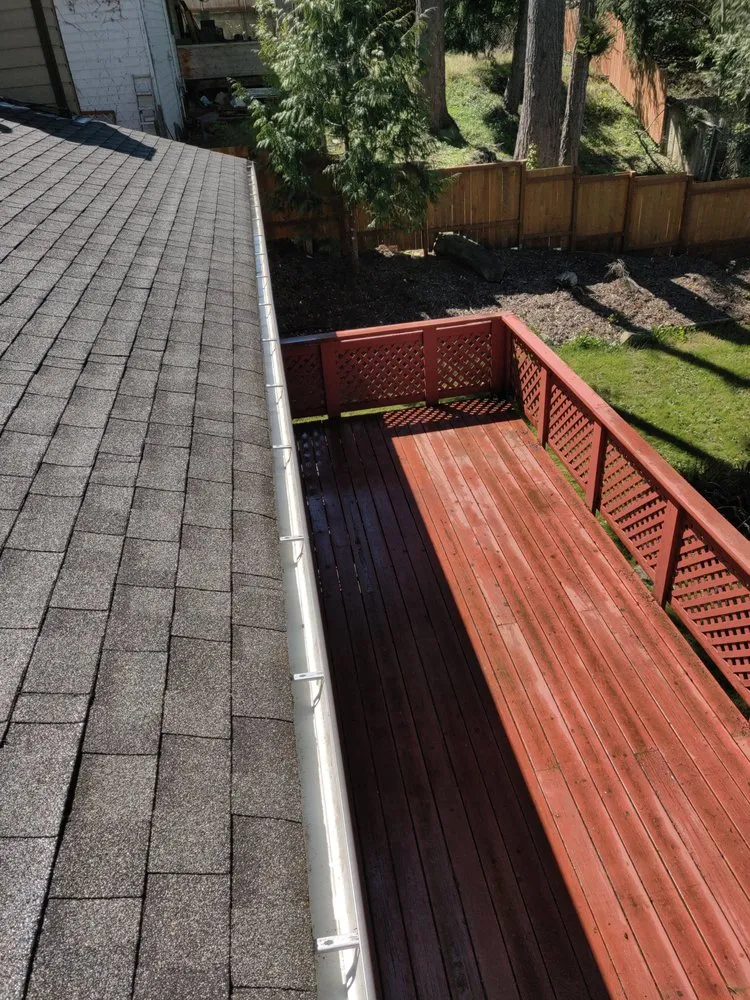 Slide of Green Roof and Gutter Cleaning, Bellingham