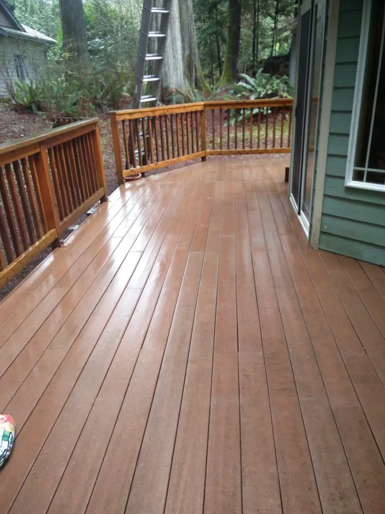 Slide of Green Roof and Gutter Cleaning, Bellingham