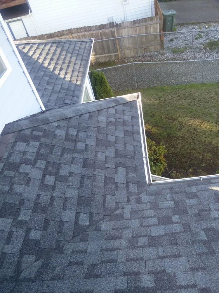 Slide of Green Roof and Gutter Cleaning, Bellingham