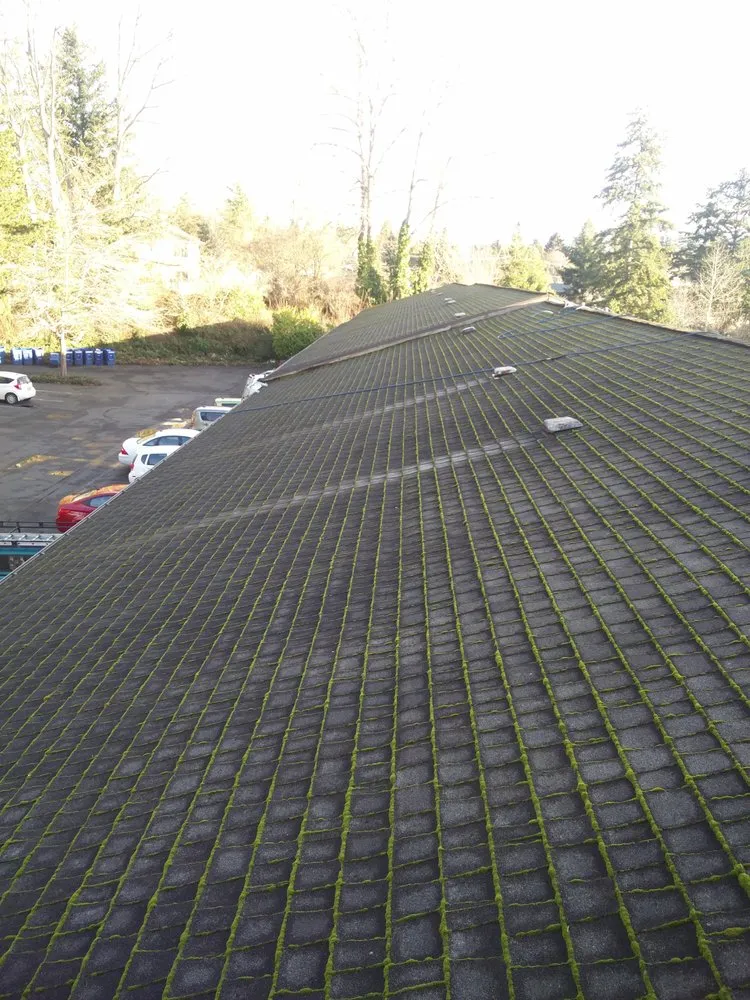 Slide of Green Roof and Gutter Cleaning, Bellingham