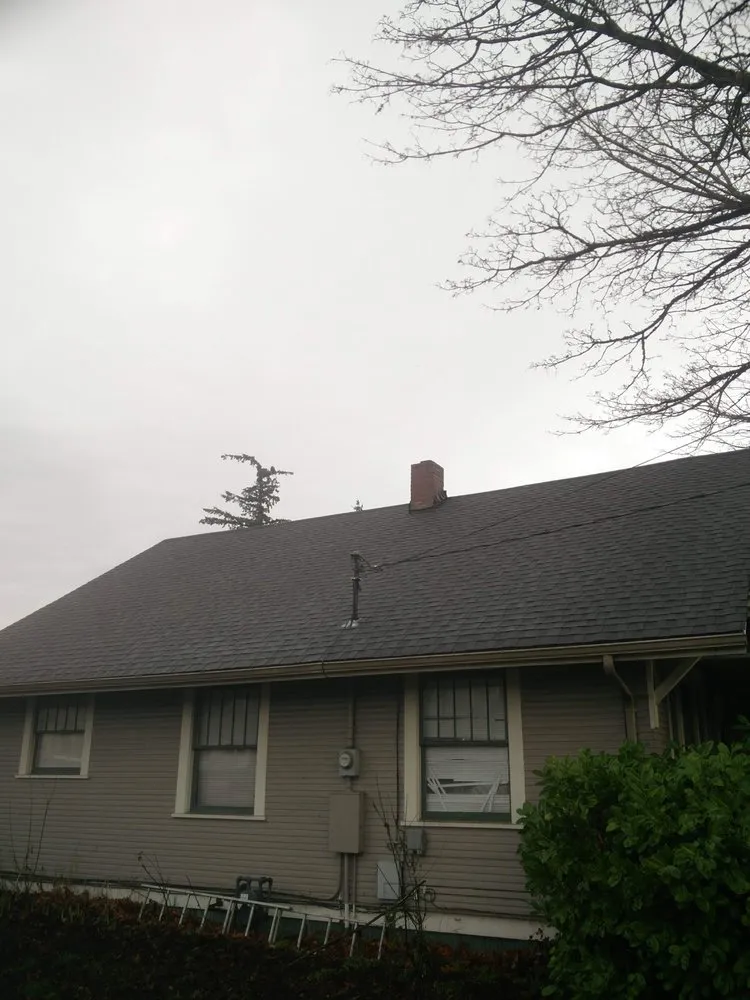Slide of Green Roof and Gutter Cleaning, Bellingham