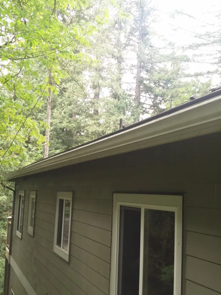 Slide of Green Roof and Gutter Cleaning, Bellingham