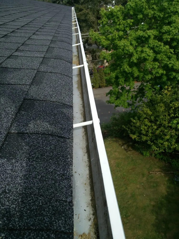 Slide of Green Roof and Gutter Cleaning, Bellingham