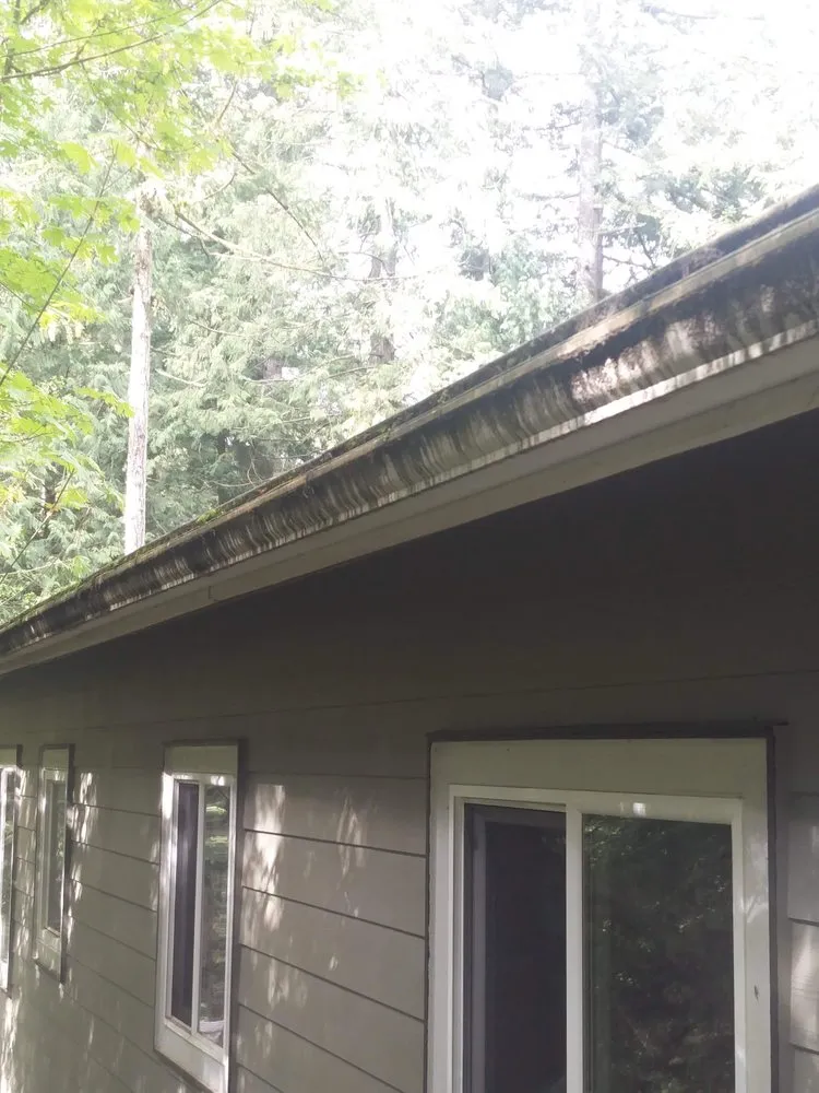 Slide of Green Roof and Gutter Cleaning, Bellingham