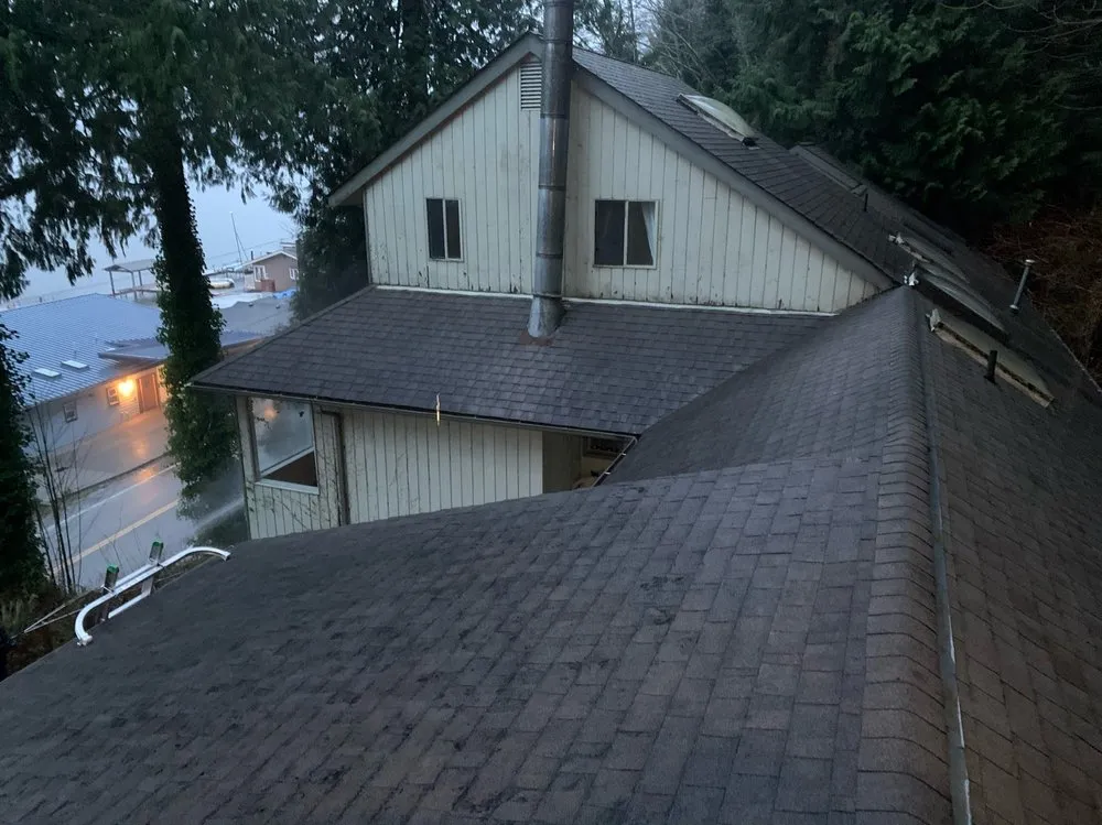 Slide of Green Roof and Gutter Cleaning, Bellingham