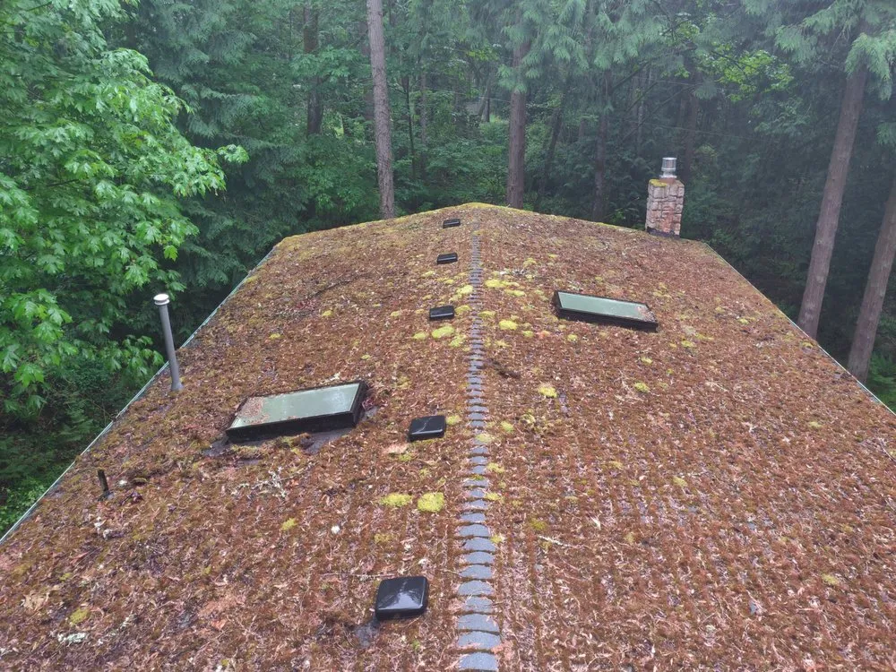 Slide of Green Roof and Gutter Cleaning, Bellingham
