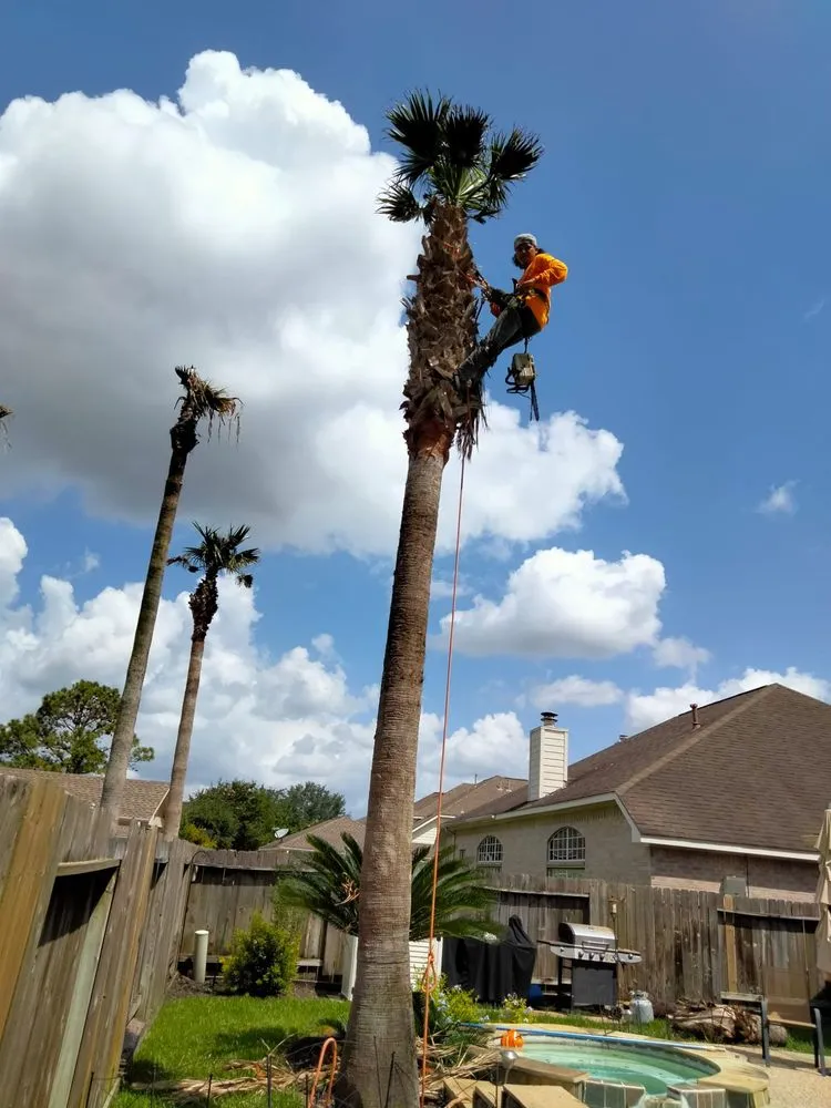 Slide of Green Shield and The Sword