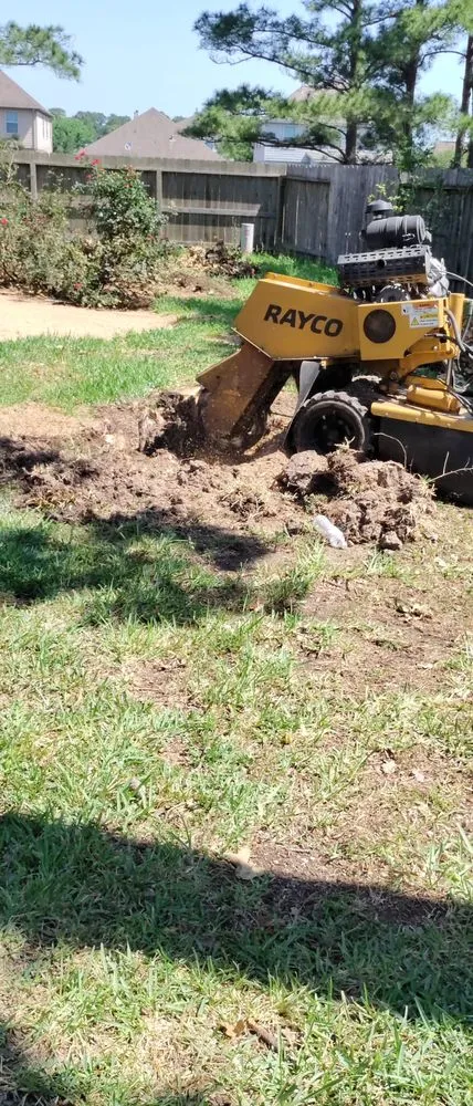 Slide of Green Shield and The Sword