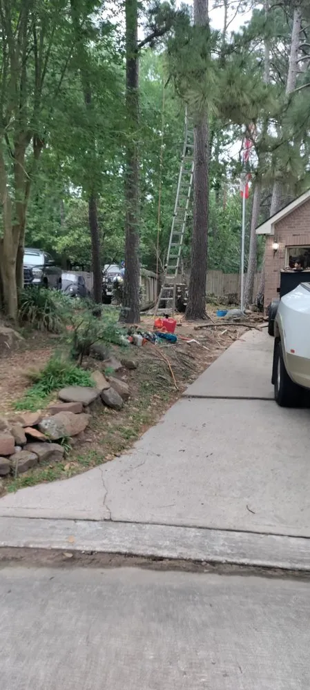 Slide of Green Shield and The Sword