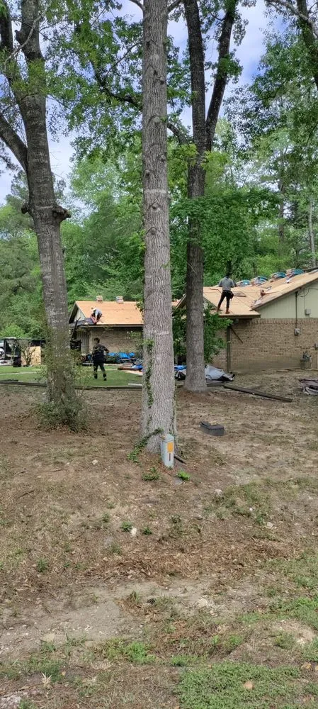 Slide of Green Shield and The Sword