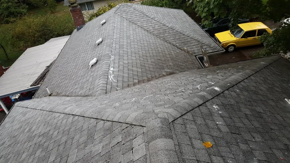 Slide of Green Solutions Roof Maintenance