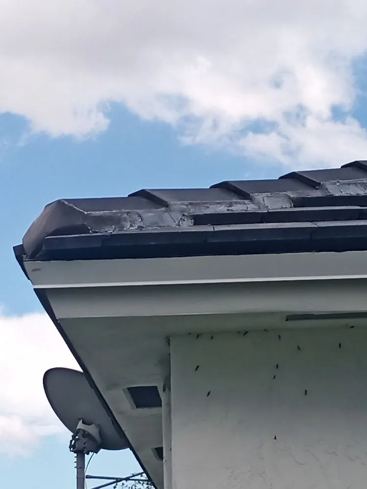 Slide of Green Solutions Solar and Renovations