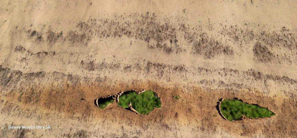 Slide of Green Solutions Solar and Renovations