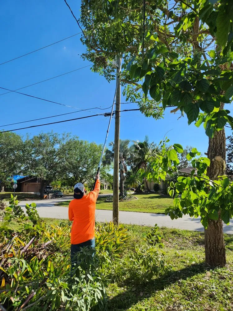 Slide of Greenbelt by Chdo
