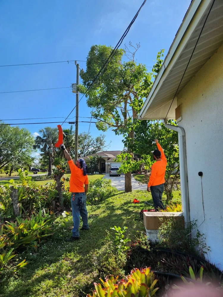 Slide of Greenbelt by Chdo