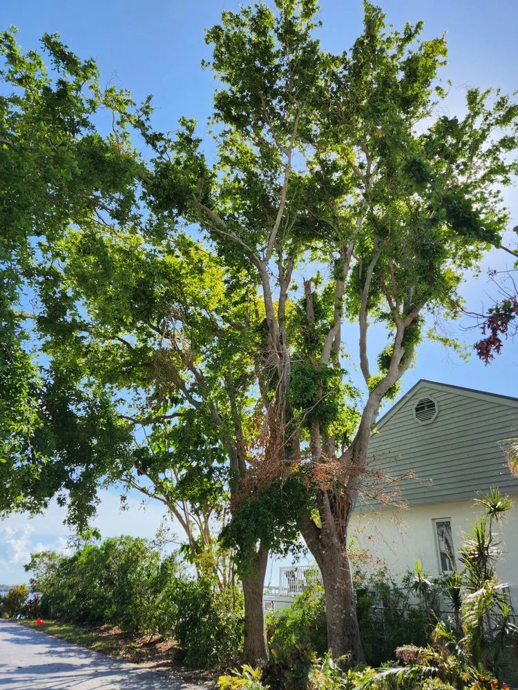 Slide of Greenbelt by Chdo