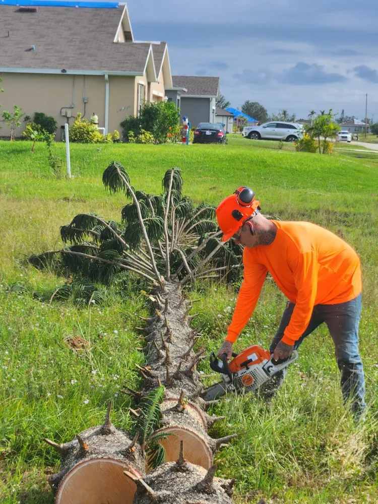 Slide of Greenbelt by Chdo
