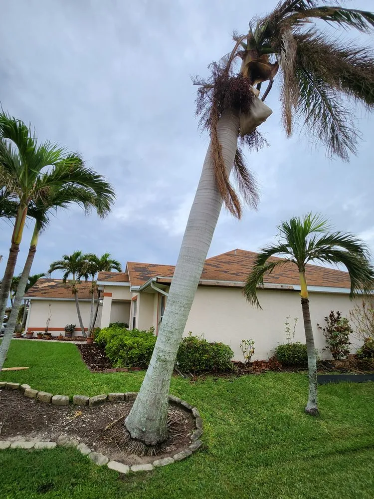 Slide of Greenbelt by Chdo