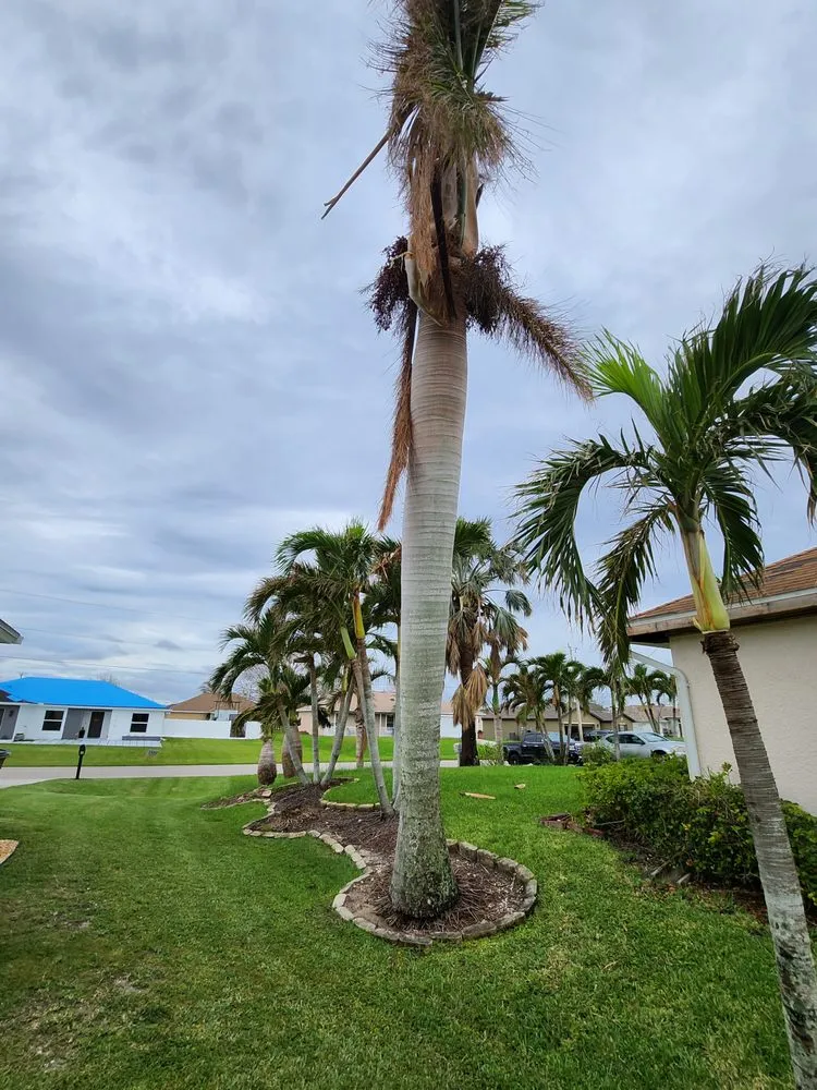 Slide of Greenbelt by Chdo