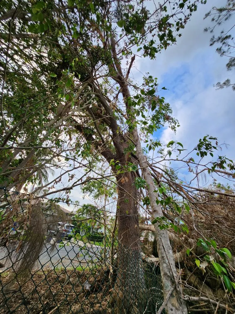 Slide of Greenbelt by Chdo