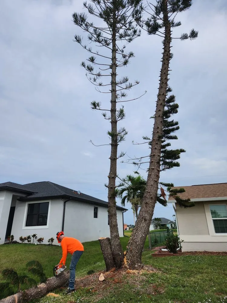 Slide of Greenbelt by Chdo