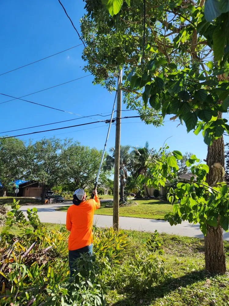 Slide of Greenbelt by Chdo