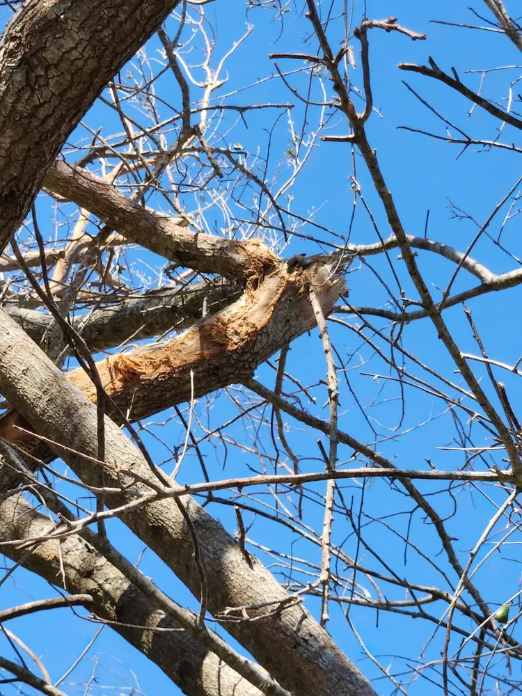 Slide of Greenbelt by Chdo