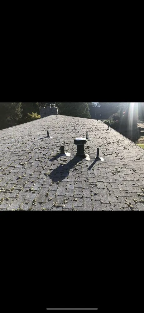 Slide of GreenLeaf Property Services