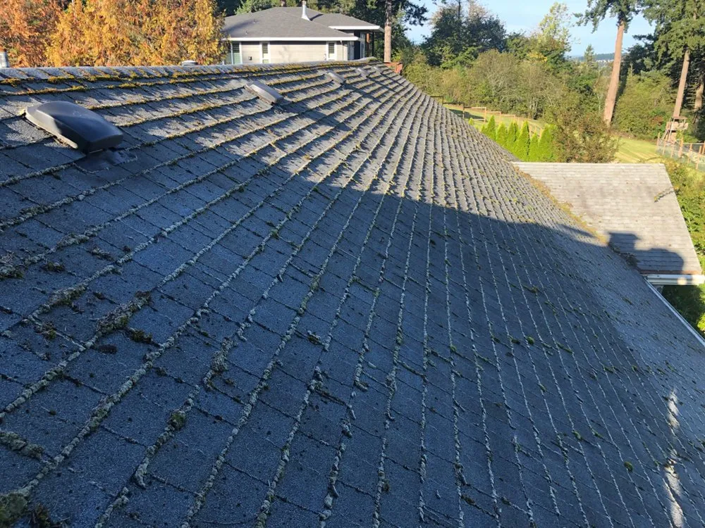 Slide of GreenLeaf Property Services