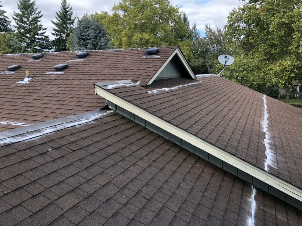 Slide of GreenLeaf Property Services