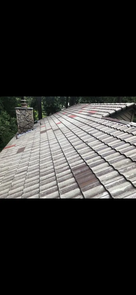 Slide of GreenLeaf Property Services