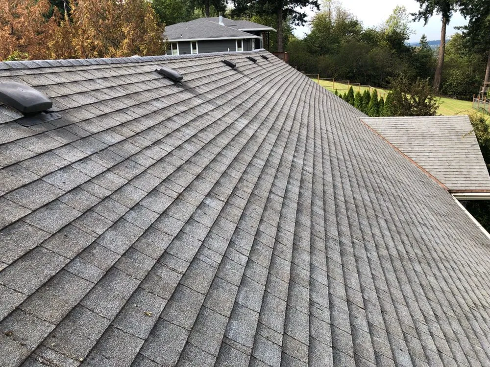 Slide of GreenLeaf Property Services