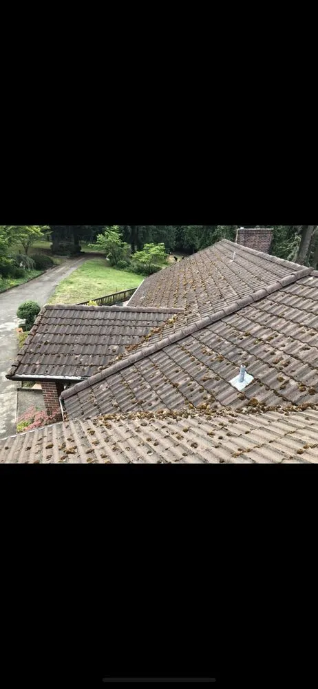 Slide of GreenLeaf Property Services