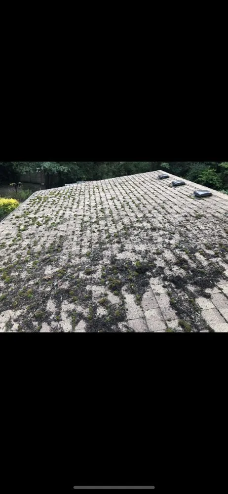 Slide of GreenLeaf Property Services