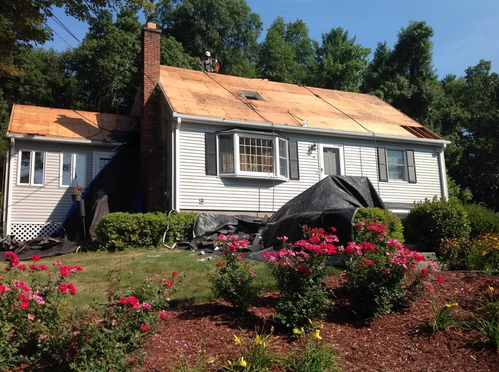 Slide of GreenLine Innovations