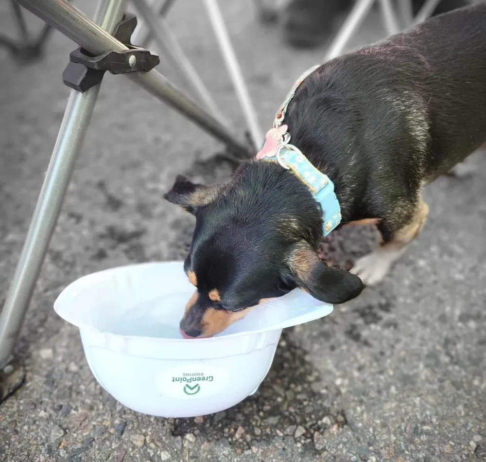 Slide of GreenPoint Roofing