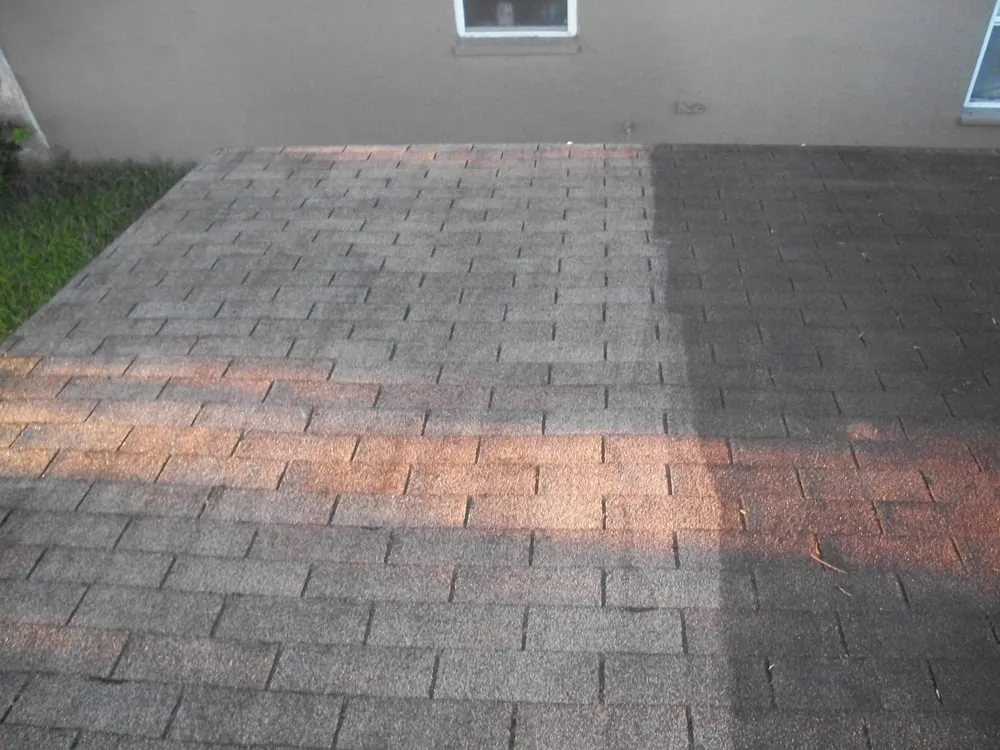 Slide of GreenSmart Roof Cleaning Services Tampa Bay