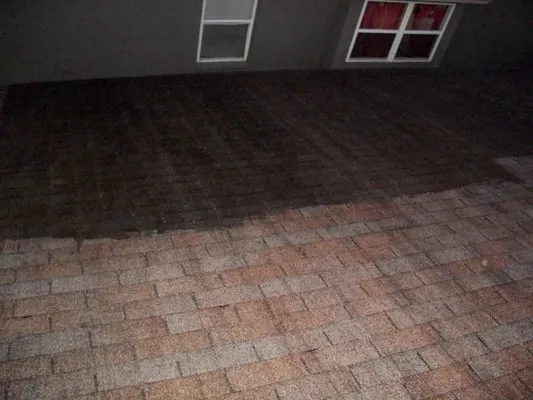 GreenSmart Roof Cleaning Services Tampa Bay Logo