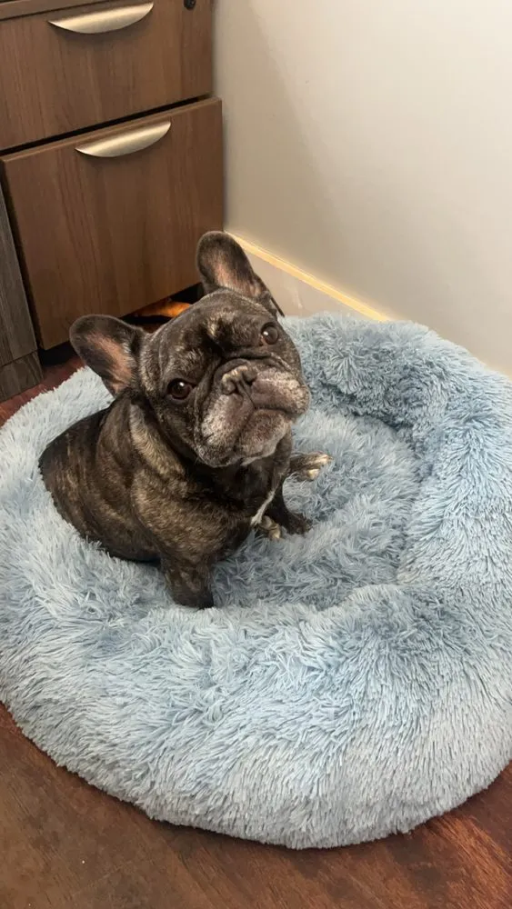 Slide of GreenTek Roofing & Solar