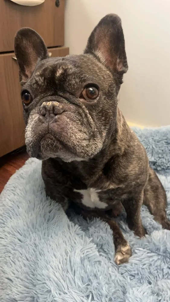 Slide of GreenTek Roofing & Solar