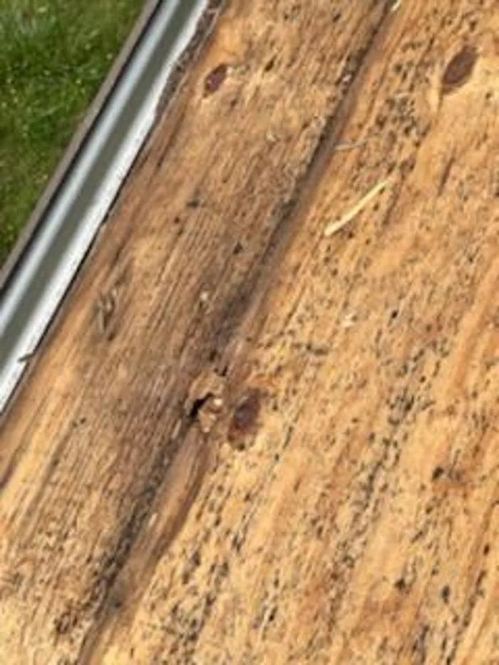 Slide of Grellis Construction