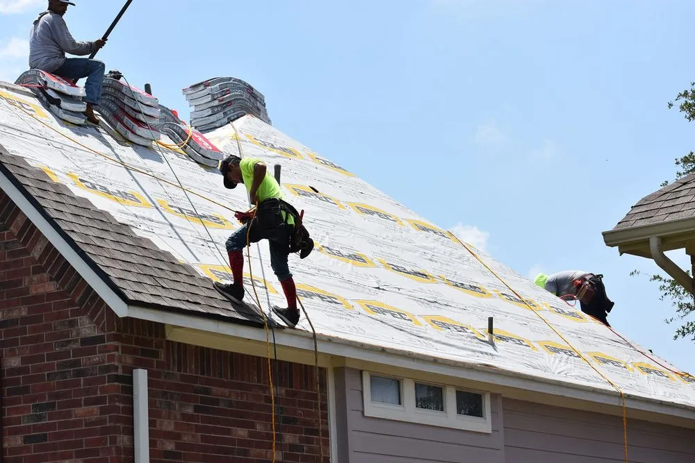 Slide of Greyhound Roofing