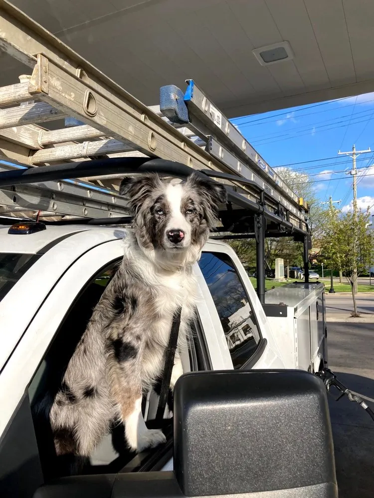 Slide of GreySky Gutters & Roofing
