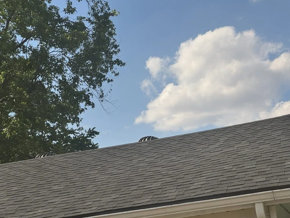 Slide of Griffith & Sons