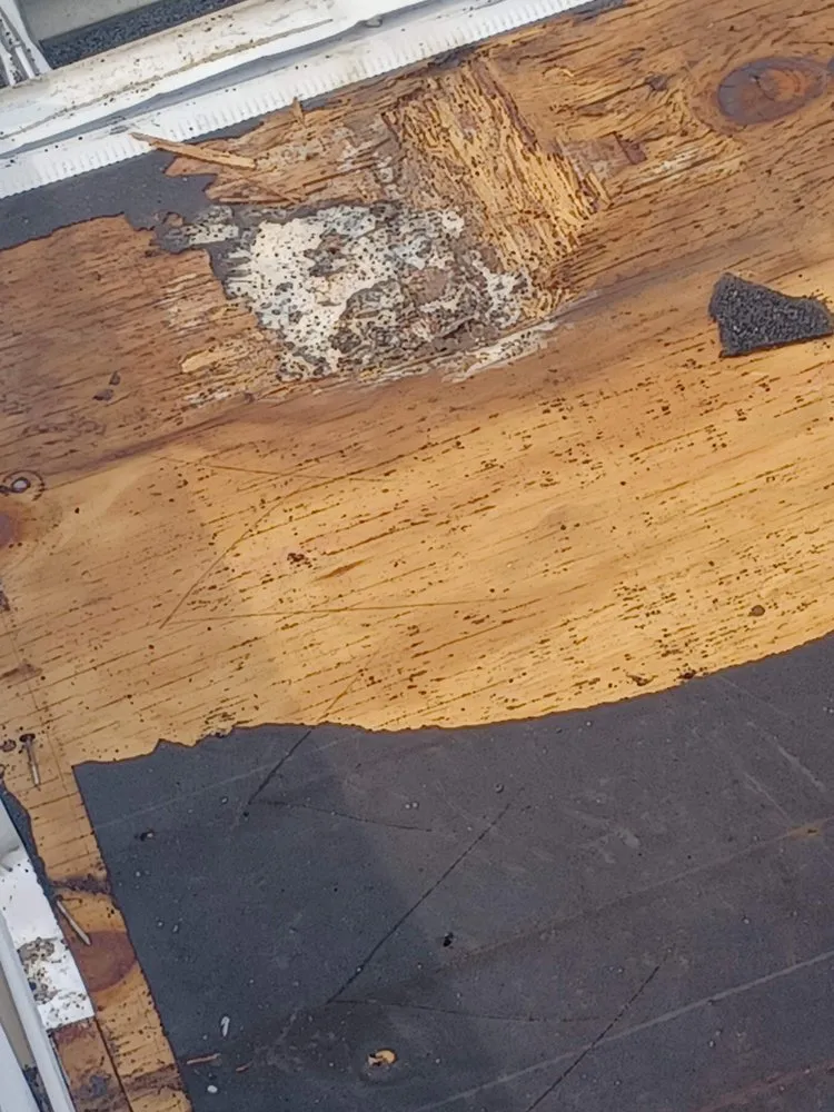 Emergency metal roofing installation experts serving Lexington-Fayette, KY - Griffiths