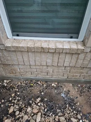 Grizzly Solutions Logo